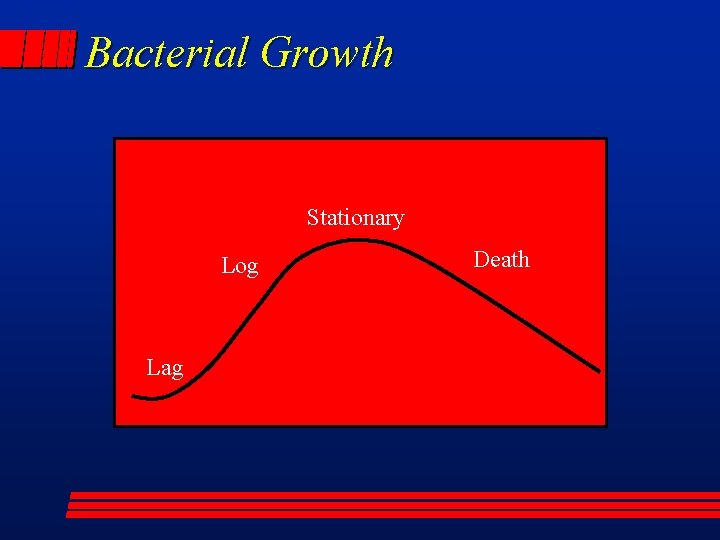 Bacterial Growth Stationary Log Lag Death 