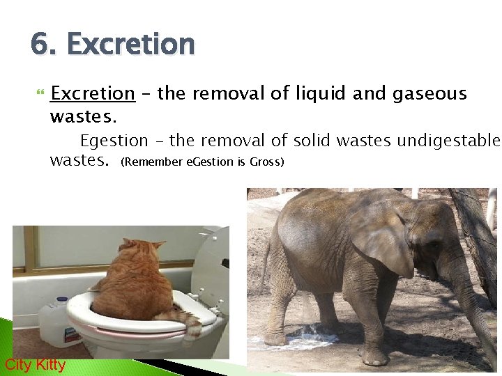 6. Excretion – the removal of liquid and gaseous wastes. Egestion - the removal