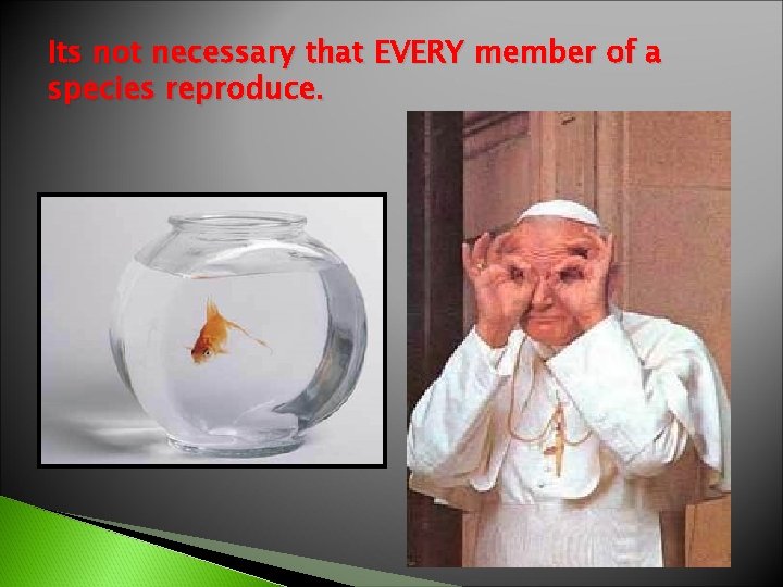 Its not necessary that EVERY member of a species reproduce. 