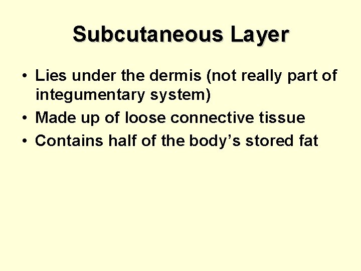 Subcutaneous Layer • Lies under the dermis (not really part of integumentary system) •