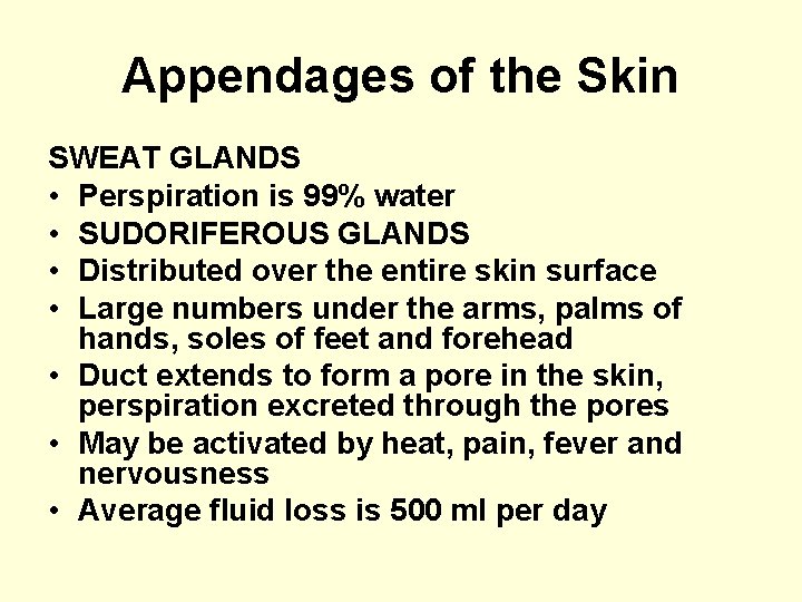 Appendages of the Skin SWEAT GLANDS • Perspiration is 99% water • SUDORIFEROUS GLANDS
