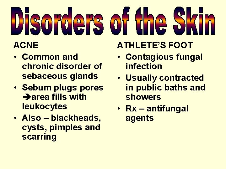 ACNE • Common and chronic disorder of sebaceous glands • Sebum plugs pores area