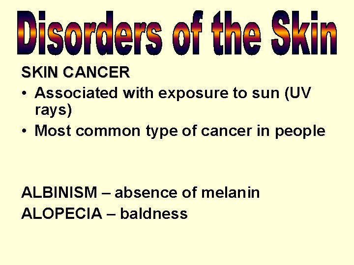 SKIN CANCER • Associated with exposure to sun (UV rays) • Most common type