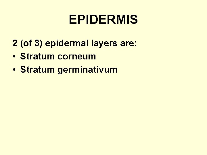 EPIDERMIS 2 (of 3) epidermal layers are: • Stratum corneum • Stratum germinativum 