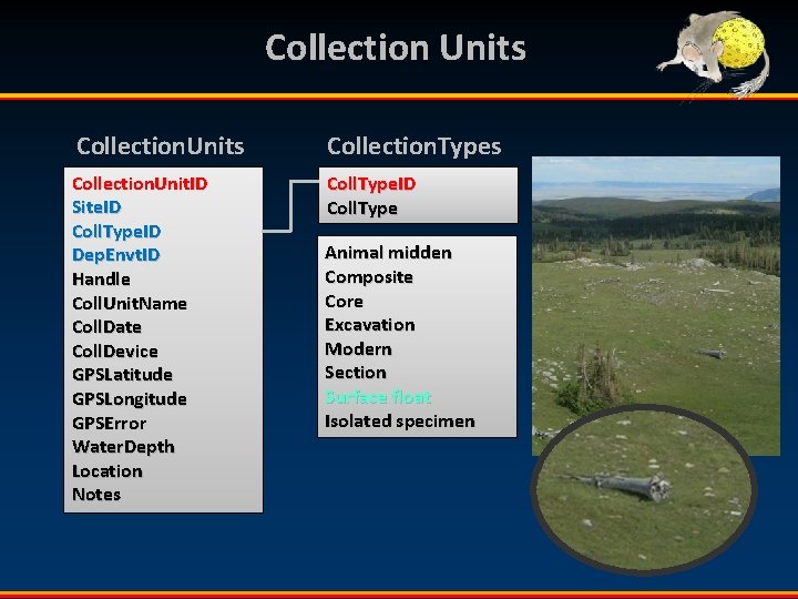 Collection Units Collection. Types Collection. Unit. ID Site. ID Coll. Type. ID Dep. Envt.