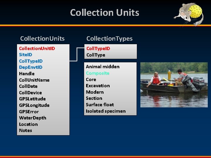 Collection Units Collection. Types Collection. Unit. ID Site. ID Coll. Type. ID Dep. Envt.