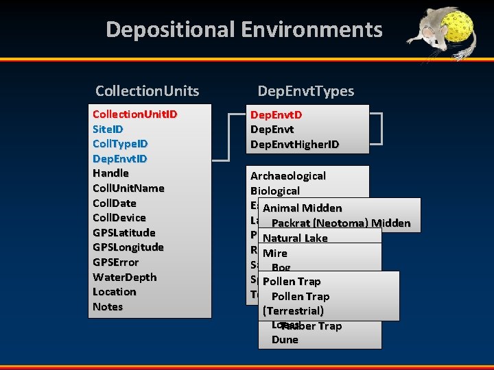 Depositional Environments Collection. Unit. ID Site. ID Coll. Type. ID Dep. Envt. ID Handle