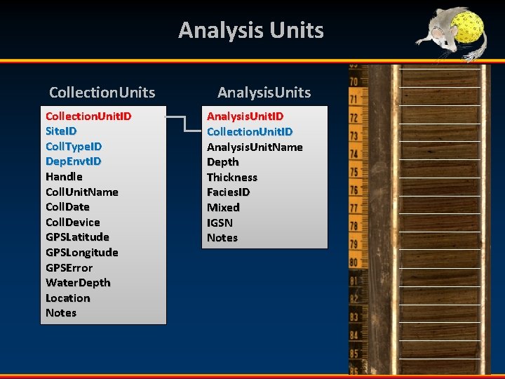 Analysis Units Collection. Unit. ID Site. ID Coll. Type. ID Dep. Envt. ID Handle