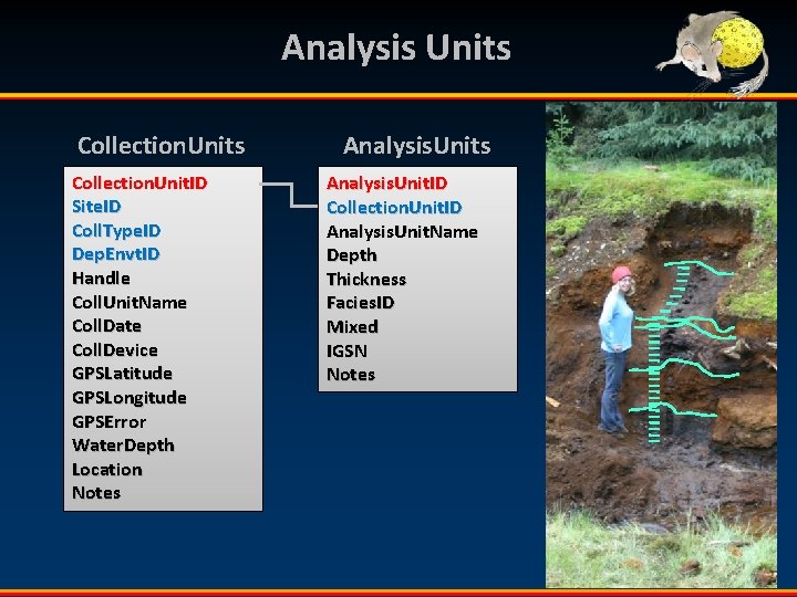 Analysis Units Collection. Unit. ID Site. ID Coll. Type. ID Dep. Envt. ID Handle