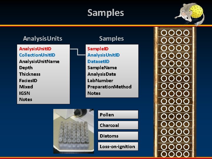 Samples Analysis. Unit. ID Collection. Unit. ID Analysis. Unit. Name Depth Thickness Facies. ID