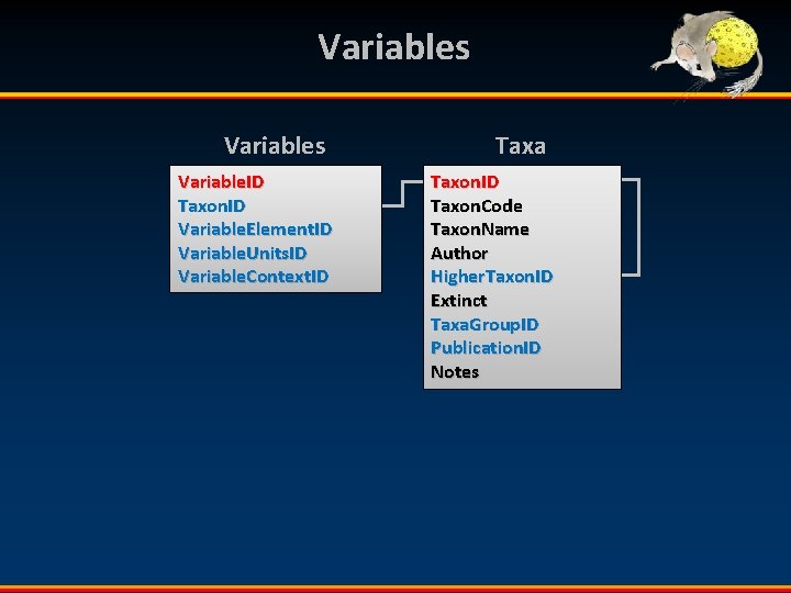 Variables Variable. ID Taxon. ID Variable. Element. ID Variable. Units. ID Variable. Context. ID