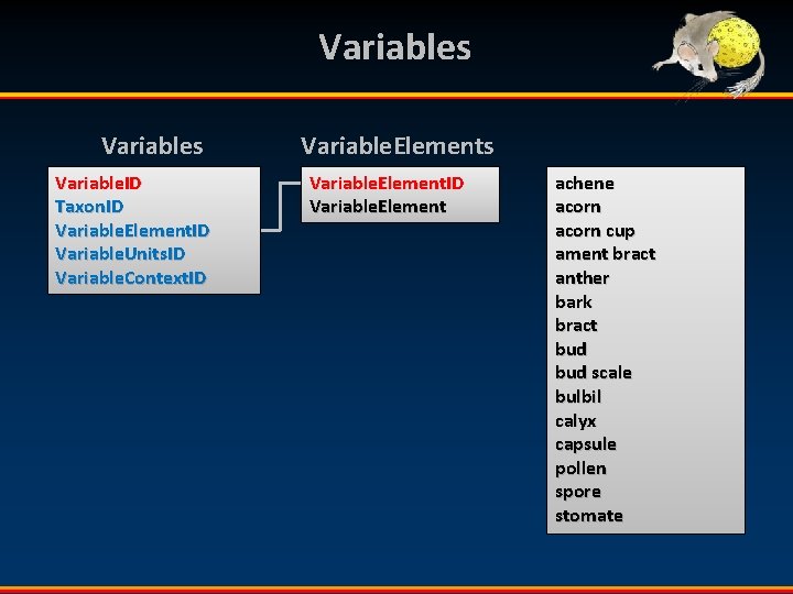 Variables Variable. ID Taxon. ID Variable. Element. ID Variable. Units. ID Variable. Context. ID