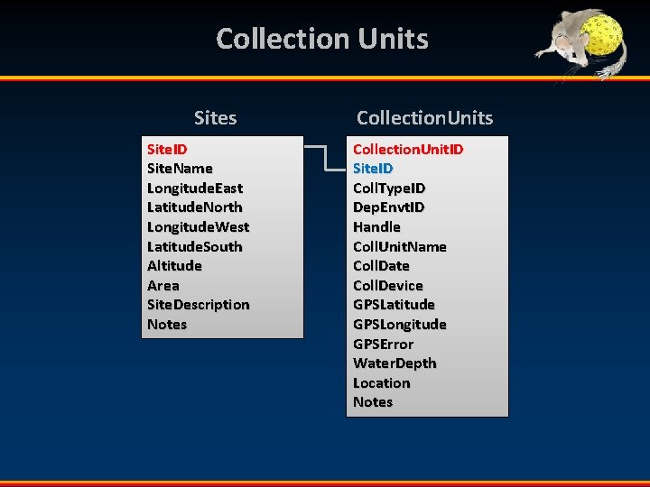 Collection Units Site. ID Site. Name Longitude. East Latitude. North Longitude. West Latitude. South