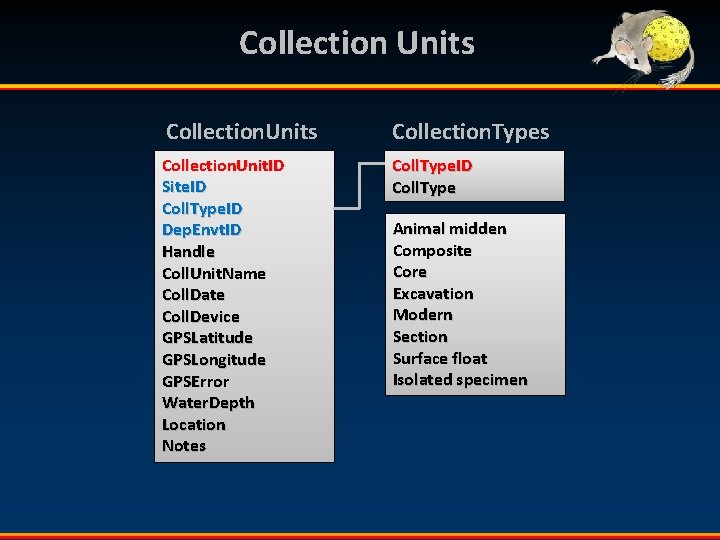 Collection Units Collection. Types Collection. Unit. ID Site. ID Coll. Type. ID Dep. Envt.