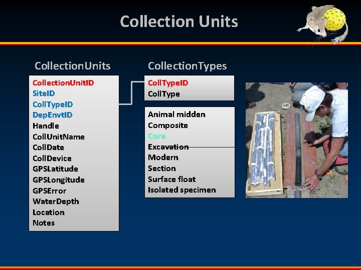 Collection Units Collection. Types Collection. Unit. ID Site. ID Coll. Type. ID Dep. Envt.