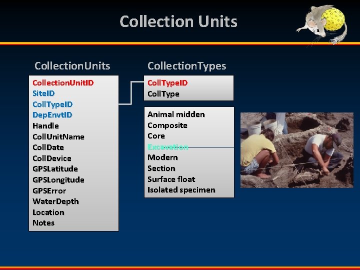 Collection Units Collection. Types Collection. Unit. ID Site. ID Coll. Type. ID Dep. Envt.