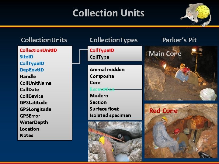 Collection Units Collection. Types Collection. Unit. ID Site. ID Coll. Type. ID Dep. Envt.
