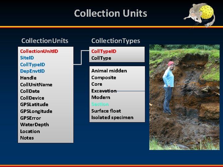 Collection Units Collection. Types Collection. Unit. ID Site. ID Coll. Type. ID Dep. Envt.