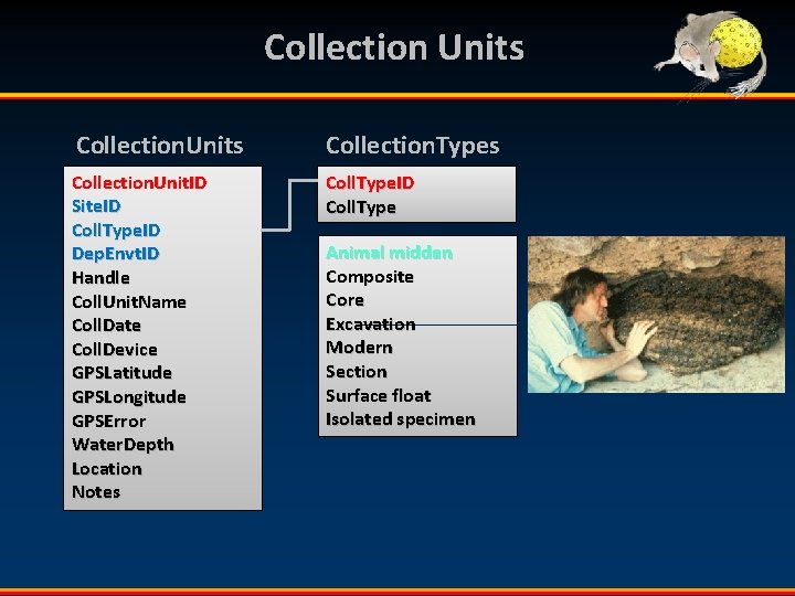 Collection Units Collection. Types Collection. Unit. ID Site. ID Coll. Type. ID Dep. Envt.