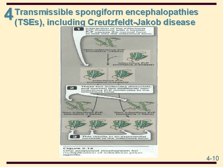 4 Transmissible spongiform encephalopathies (TSEs), including Creutzfeldt-Jakob disease 4 -10 