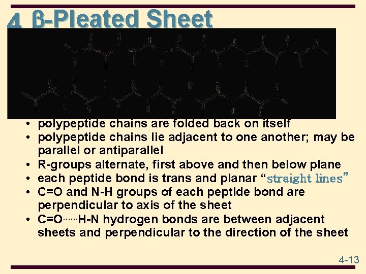 4 -Pleated Sheet • polypeptide chains are folded back on itself • polypeptide chains