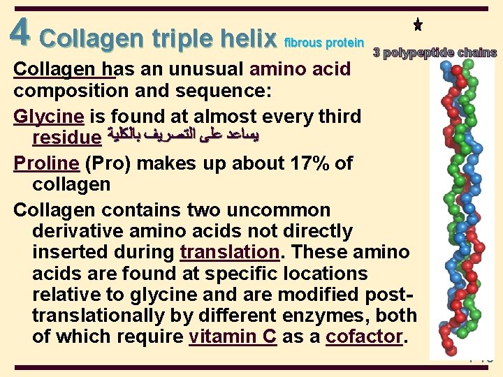 4 Collagen triple helix fibrous protein 3 polypeptide chains Collagen has an unusual amino