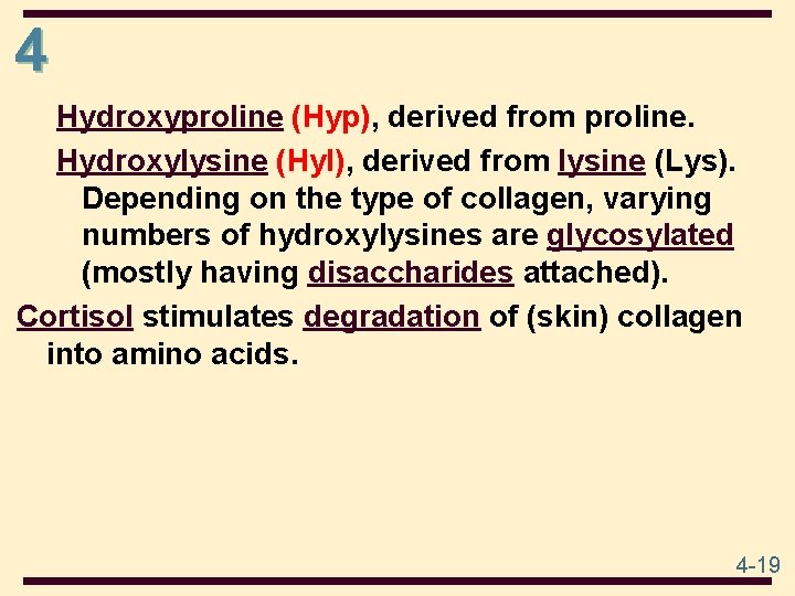 4 Hydroxyproline (Hyp), derived from proline. Hydroxylysine (Hyl), derived from lysine (Lys). Depending on