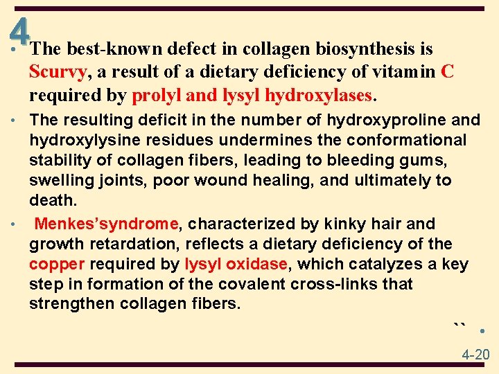 4 • The best-known defect in collagen biosynthesis is Scurvy, a result of a