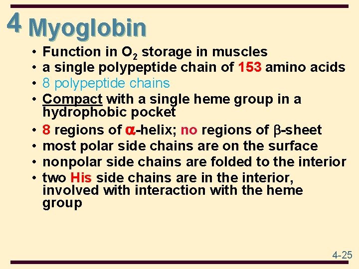 4 Myoglobin • • Function in O 2 storage in muscles a single polypeptide