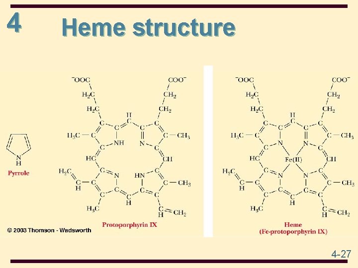 4 Heme structure 4 -27 