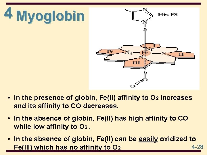 4 Myoglobin • In the presence of globin, Fe(II) affinity to O 2 increases