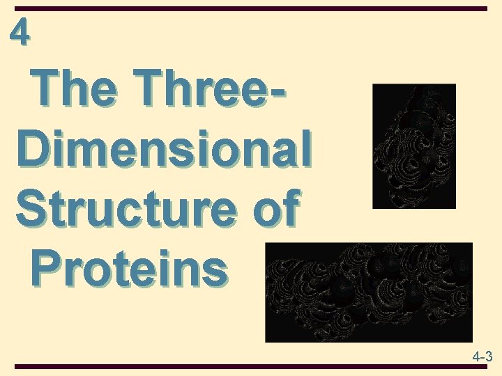 4 The Three. Dimensional Structure of Proteins 4 -3 