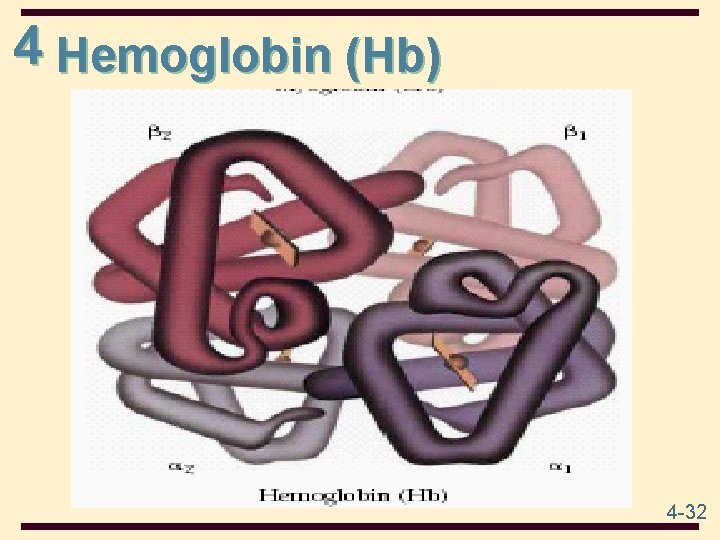 4 Hemoglobin (Hb) 4 -32 