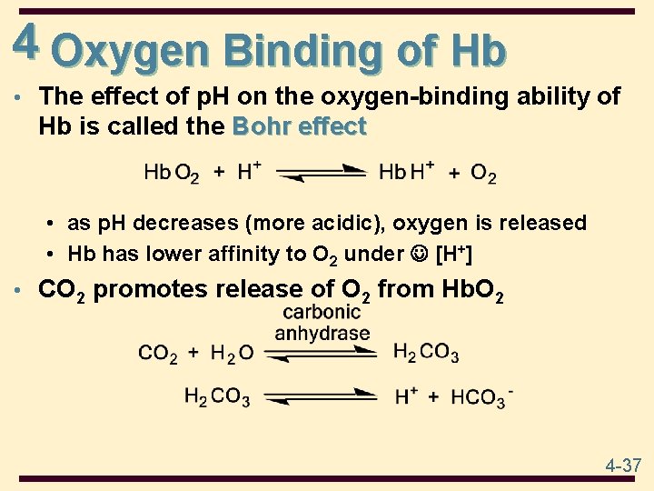 4 Oxygen Binding of Hb • The effect of p. H on the oxygen-binding