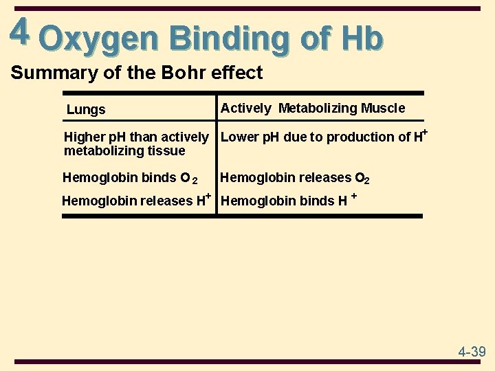 4 Oxygen Binding of Hb Summary of the Bohr effect Lungs Actively Metabolizing Muscle