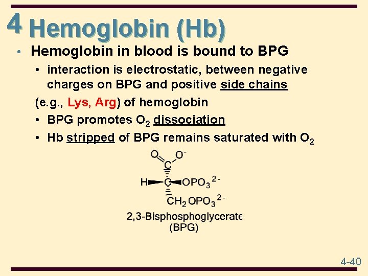 4 Hemoglobin (Hb) • Hemoglobin in blood is bound to BPG • interaction is