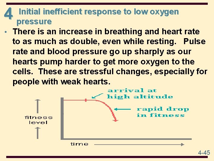 4 Initial inefficient response to low oxygen pressure • There is an increase in