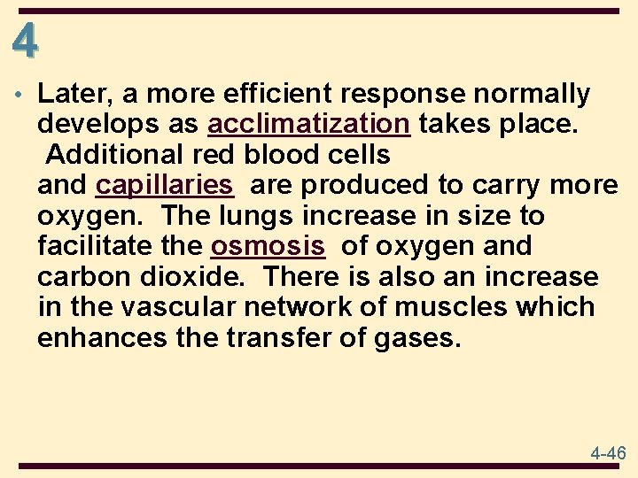 4 • Later, a more efficient response normally develops as acclimatization takes place. Additional