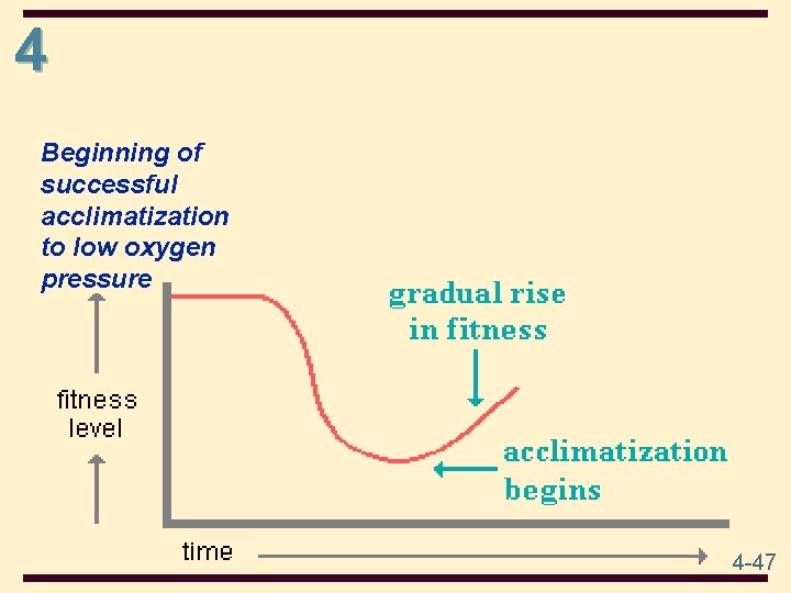 4 Beginning of successful acclimatization to low oxygen pressure 4 -47 