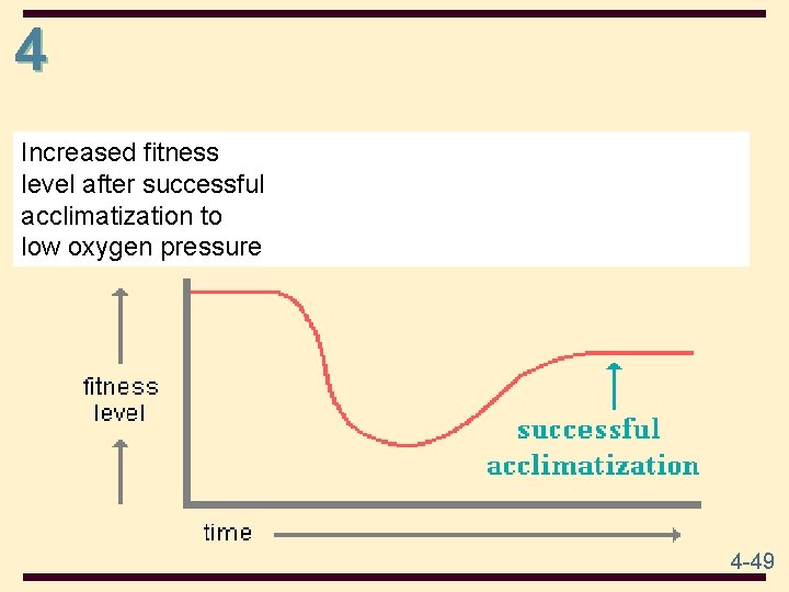 4 Increased fitness level after successful acclimatization to low oxygen pressure 4 -49 