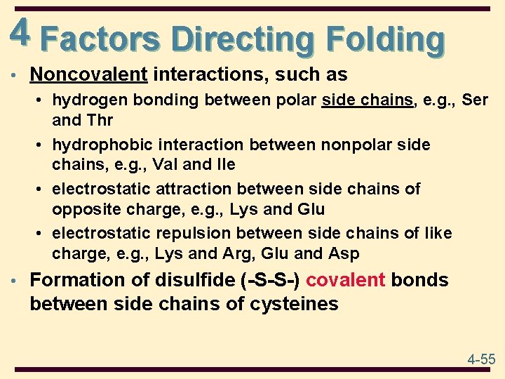 4 Factors Directing Folding • Noncovalent interactions, such as • hydrogen bonding between polar