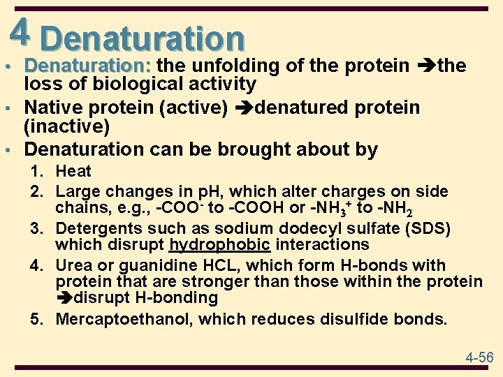 4 Denaturation • Denaturation: the unfolding of the protein the loss of biological activity