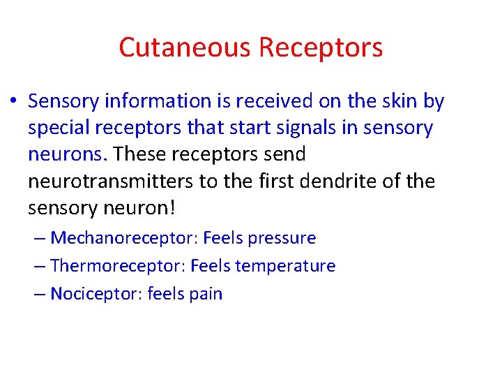 Cutaneous Receptors • Sensory information is received on the skin by special receptors that