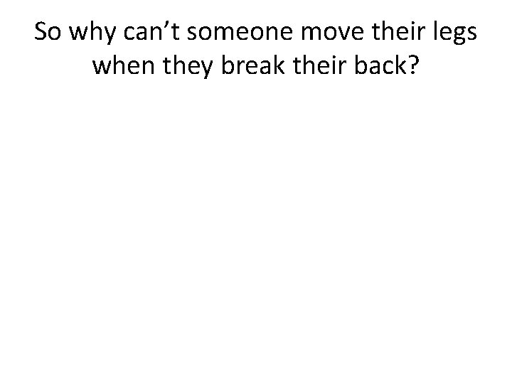 So why can’t someone move their legs when they break their back? 