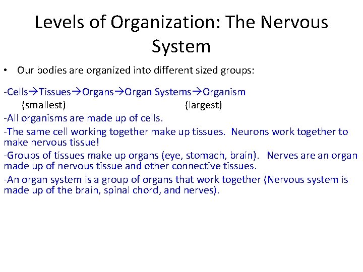 Levels of Organization: The Nervous System • Our bodies are organized into different sized