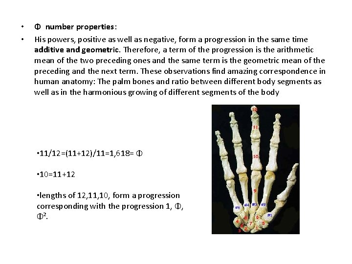 • • Φ number properties: His powers, positive as well as negative, form • • Φ number properties: His powers, positive as well as negative, form