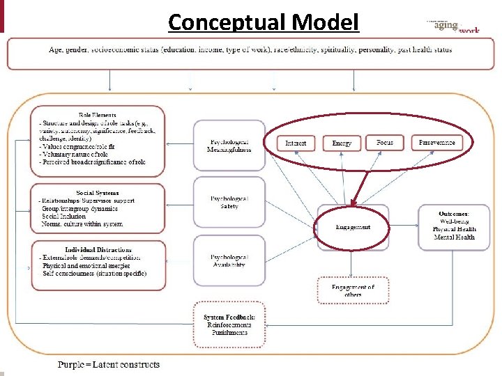 Conceptual Model 8 