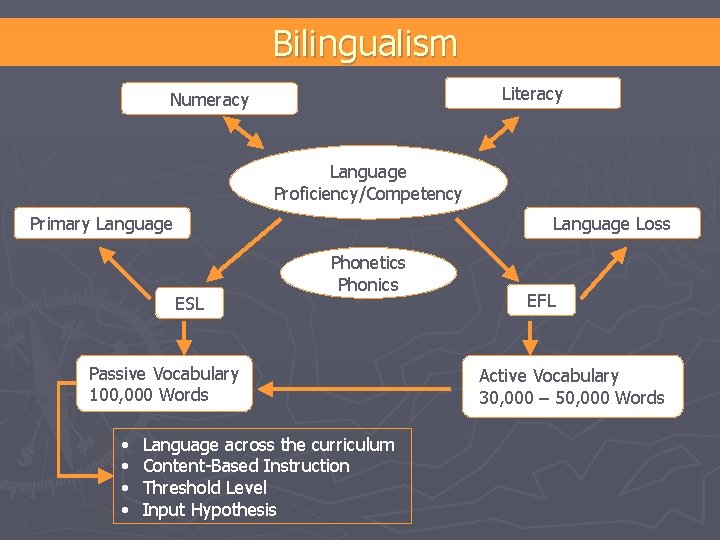 Bilingualism Literacy Numeracy Language Proficiency/Competency Primary Language Loss ESL Phonetics Phonics Passive Vocabulary 100,