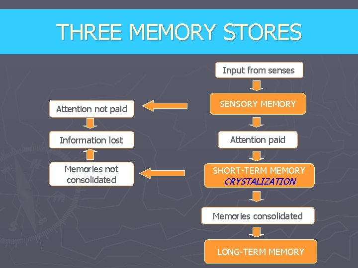 THREE MEMORY STORES Input from senses Attention not paid SENSORY MEMORY Information lost Attention
