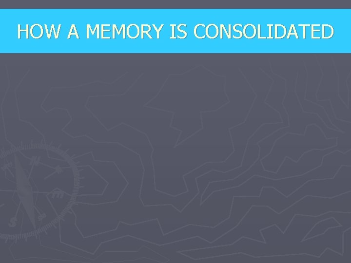 HOW A MEMORY IS CONSOLIDATED 